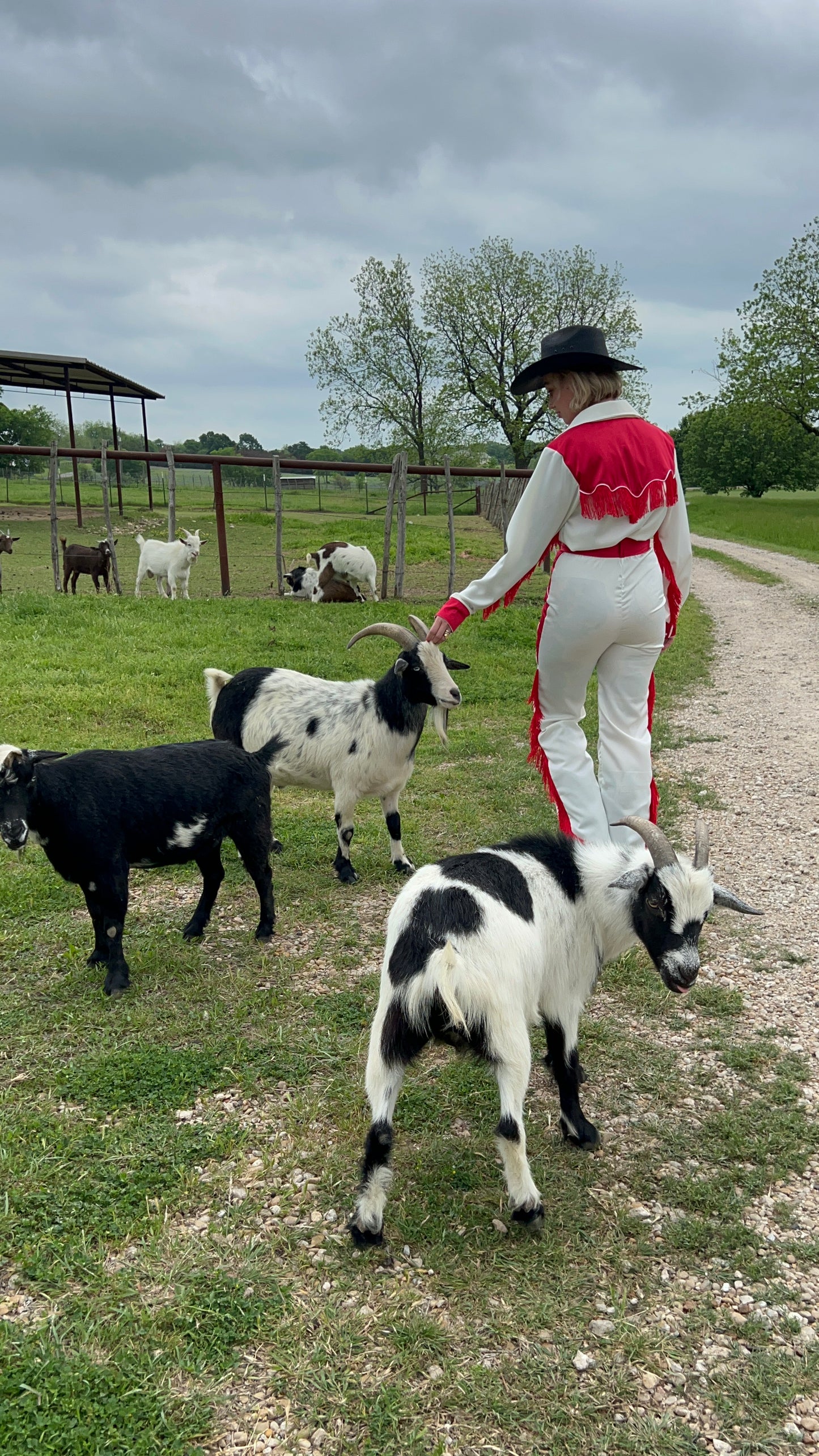 Marlboros Pearl Snap Suit