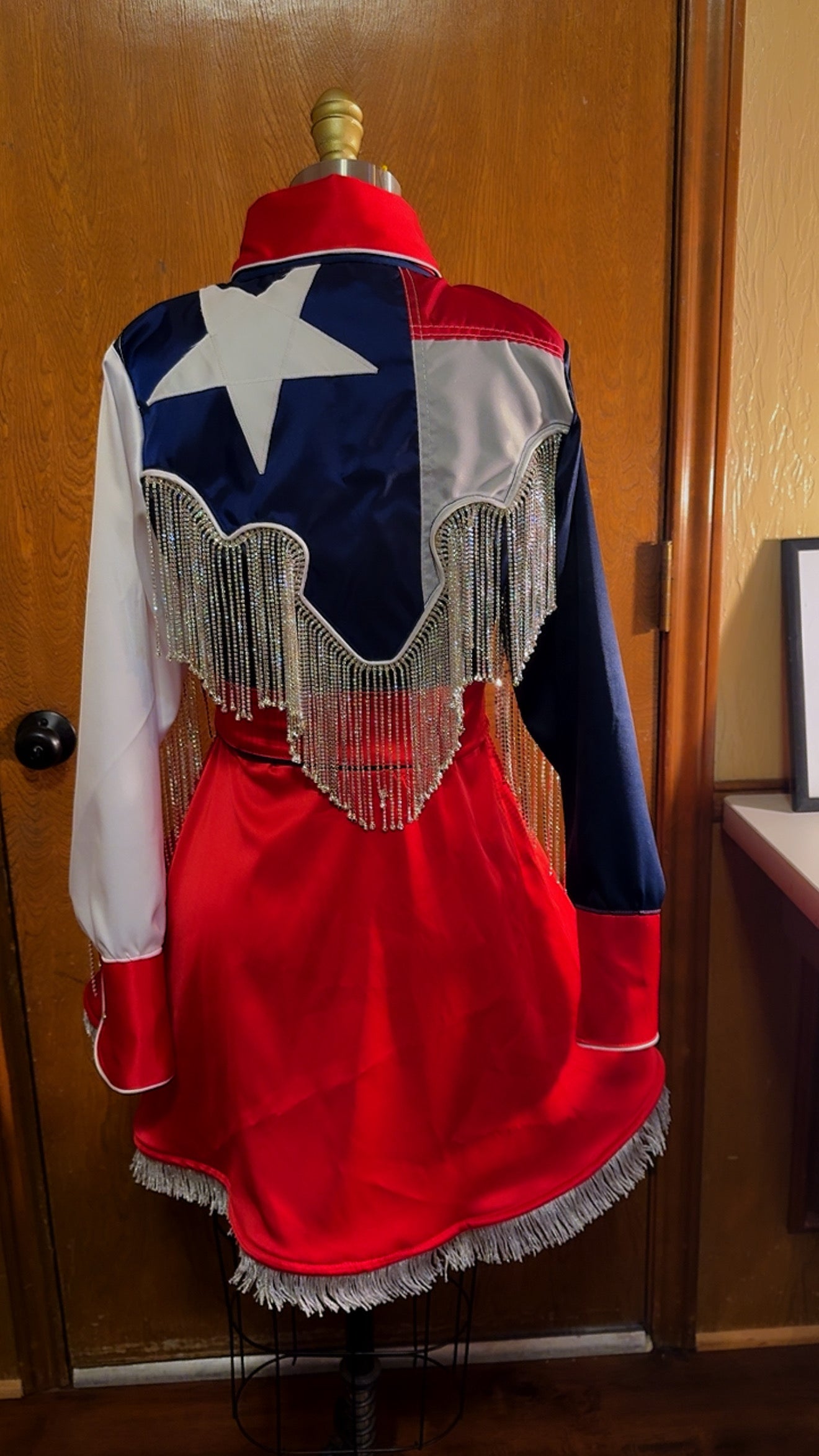 The Lone Star Pearl Snap Dress Texas Flag Dress
